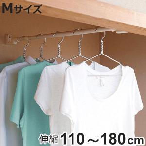 物干し 室内 どこでも伸縮ポール M 幅110〜180 （ 部屋 収納 衣類 衣類収納 突っ張り つっぱり 部屋干し ）