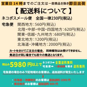 アクティバイタル 5本指 サッカーソックス フ...の詳細画像2