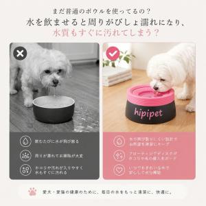 ウォーターボウル 浮遊構造 ドーパミンカラー ...の詳細画像1