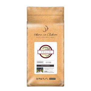 精米岩手県紫波郡産 特別栽培米 玄米 ササニシキ 川村卓也さんのお米 5kg