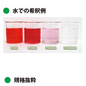 コチニール色素 コチニールレッドAL 2kg(...の詳細画像1