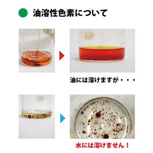 トウガラシ色素 ハイオレンジLH 1kg(液状...の詳細画像1