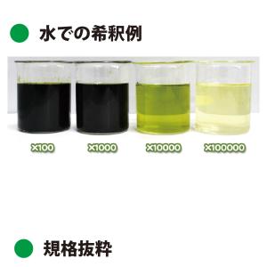 緑色着色料製剤 ハイメロンP-2 1kg (高...の詳細画像1