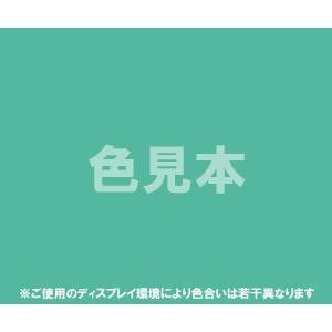 医薬品、医薬部外品及び化粧品用法定色素緑色3号 ファストグリーンFCF　1kg 　緑3 医薬品 化粧品 着色 ダイワ化成 カラーマーケット｜colormarket