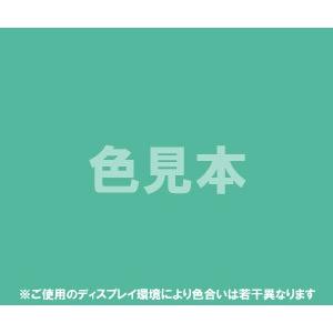 医薬品、医薬部外品及び化粧品用法定色素緑色3号 ファストグリーンFCF　1kg 　緑3 医薬品 化粧...