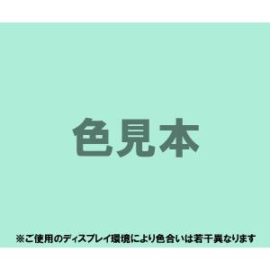 外用医薬品、医薬部外品及び化粧品用法定色素緑色204号 ピラニンコンク　1kg 　緑204 入浴剤 ...