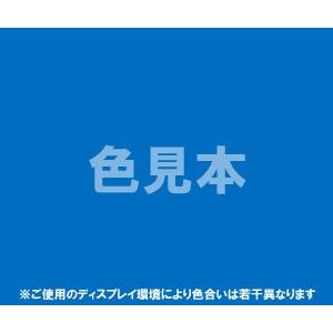 医薬品、医薬部外品及び化粧品用法定色素青色1号 ブリリアントブルーFCF　1kg 　青1 医薬品 化...