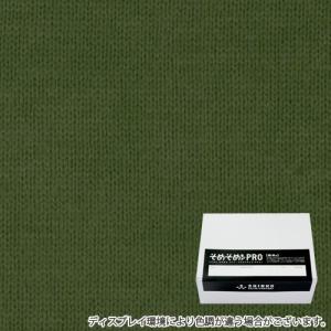 キット 染め そめそめキットPro　Sサイズ オリーブグリーン色に染める綿/麻布用染料（200gまでの素材用） 　プロ仕様 反応染料 染め粉  セット S-0031｜colormarket