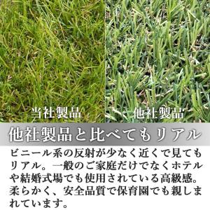 人工芝 芝生 ロール 1m×10m 芝丈20m...の詳細画像2