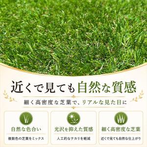 人工芝 芝丈30mm 1m×10m 高品質 防...の詳細画像2