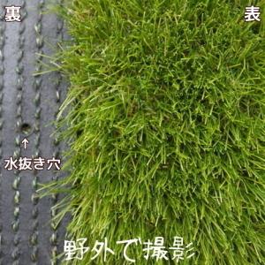 人工芝 芝生 1m×約10cm 芝丈40mm ...の詳細画像3