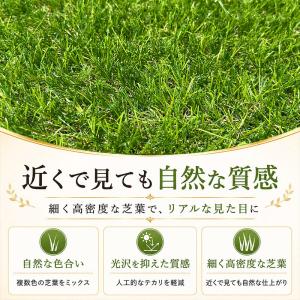 人工芝 芝丈40mm 幅2m 長さ50cm単位...の詳細画像2