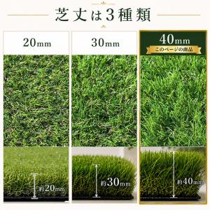 人工芝 芝丈40mm 幅2m 長さ50cm単位...の詳細画像3