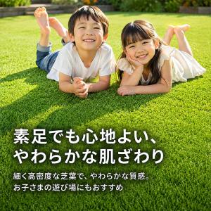 人工芝 芝丈40mm 幅2m 長さ50cm単位...の詳細画像4