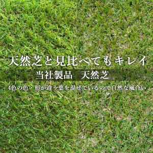 人工芝 高品質 防炎 リアル 芝丈40mm 2...の詳細画像1