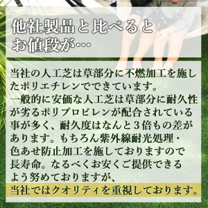 人工芝 高品質 防炎 リアル 芝丈40mm 2...の詳細画像3