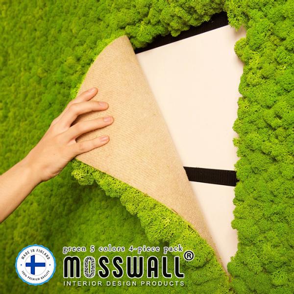 壁面緑化DIY グリーンウォール インテリアグリーン レインディアモス MOSSWALL 40×60...