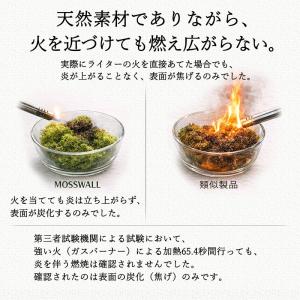 モス 北欧 レインディアモス 10g カラーモ...の詳細画像4