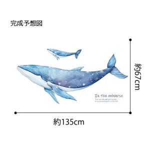 ウォールステッカー くじら 鯨 海 海中 泳ぐ...の詳細画像3