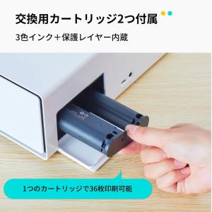 Liene Pixcut S1 専用 ステッカ...の詳細画像3