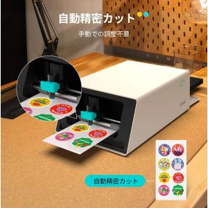 Liene PixCut S1 ステッカープリ...の詳細画像1