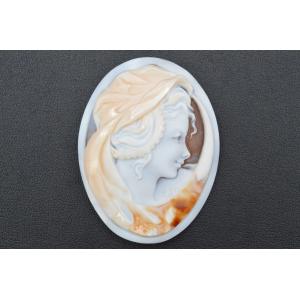 ◇アメンドーラ◇シェルカメオ ルース 月の女神 約70.52×54.19mm 約