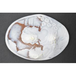 ◇アメンドーラ◇シェルカメオ ルース 約85.50×65.58mm 約28.12g