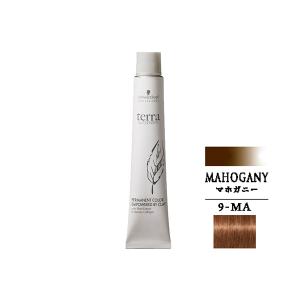 エッセンシティ シュワルツコフ テラ by 1剤 ラズベリーピンク 85g