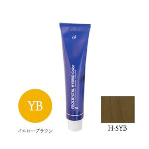 アペティート プロクリスタル A-ZERO 500g : color story - 通販