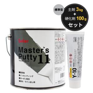 ソーラー 硬化剤 Y-10 100g (F-10硬化剤の後継品) : カラートリム