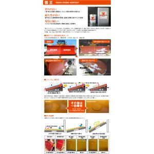 雪王スプレー KFレッド (R-001) 420mlの詳細画像2