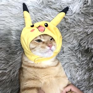 コスプレ ポケモン 猫用品 の商品一覧 ペット用品 生き物 通販 Yahoo ショッピング