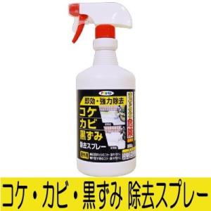 アサヒペン コケ・カビ・黒ずみ除去スプレー [800ｇ] コケ・カビ・黒ずみ・藻・屋外用コケカビ黒ずみ除去剤｜colour-harmony