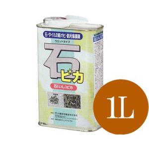 【送料無料】 【テムスケミカル】 石ピカ [1L] 鏡面仕上げの御影・大理石・壁面や床面の石・タイルをカビや汚れから守る｜colour-harmony