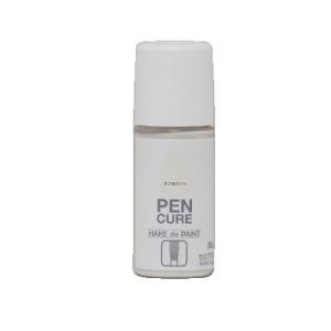 ペンキュア HAKE de PAINT セミグロスフレッシュベリー (水性半つや塗料) [50ml]  ニッペホームプロダクツ株式会社