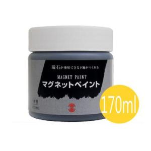 ターナー ターナー色彩 ターナーマグネットペイント 水性 500ml マグネットペイント 500ml 黒 水性✖️6 バラ売り可5000円