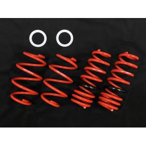 コルトスピード （COLT SPEED） スズキ スイフト ZC33S専用 ローダウン
