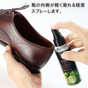 コロンブス オドクリーン プラチナミスト サン...の詳細画像2