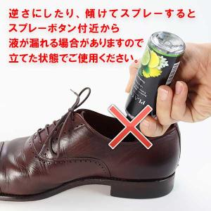 コロンブス オドクリーン プラチナミスト サン...の詳細画像3