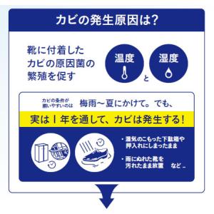 コロンブス レザーキュア カビ用ミストプラチナ...の詳細画像3