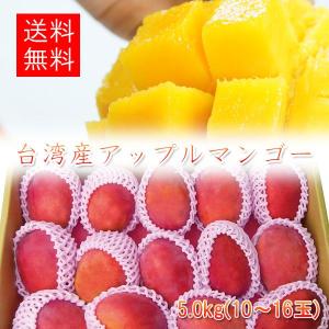 【早期割引】アップルマンゴー 台湾産 5.0kg(9-16玉...