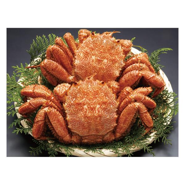 北海道産ボイル毛がに 2尾800g