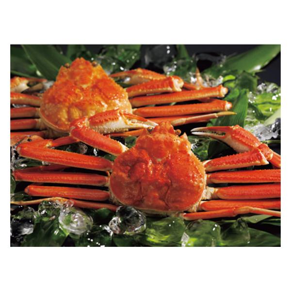 ボイルずわいがに姿 2尾（50）