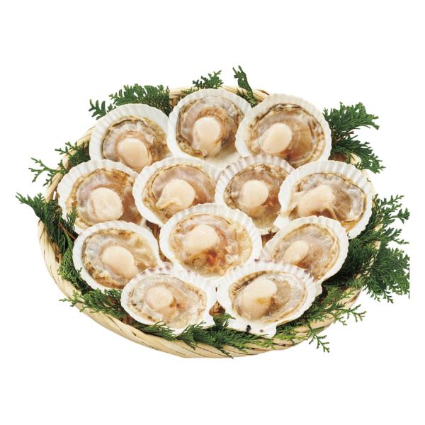 北海道のほたて貝Ｌ１２枚
