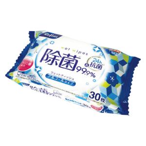 リファイン24h抗菌アルコール おでかけウェットティッシュ30枚1P
