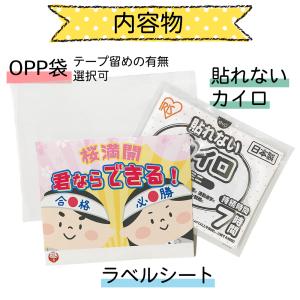 受験生応援カイロ 貼れない【ミニ】 選べるデザ...の詳細画像1