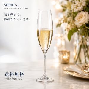 石塚硝子 ワイングラス フラネ シャンパングラス 6脚セット 品番