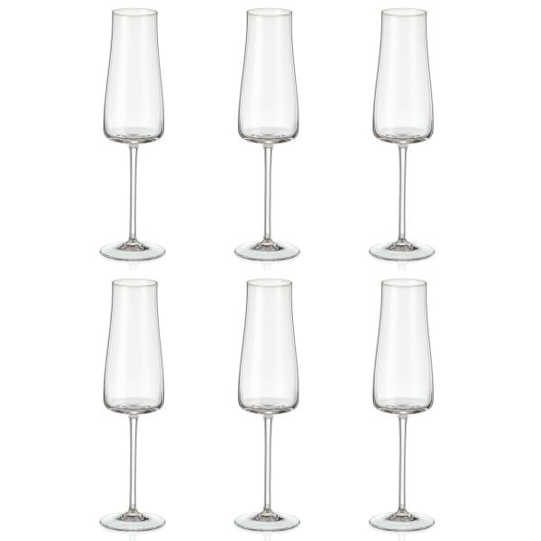 ボヘミアングラス クリスタレックス ALEX シャンパングラス 210ml 6個セット  40950...
