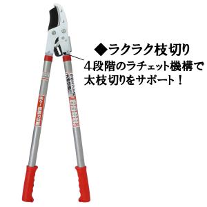 大進 ラチェット式 太枝切鋏 替刃 付き ふと...の詳細画像4