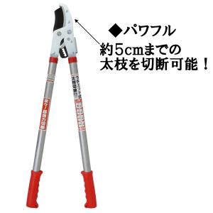 大進 ラチェット式 太枝切鋏 替刃 付き ふと...の詳細画像2